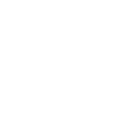 Customs Clearance Icon