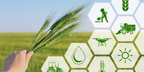 Agricultural Products